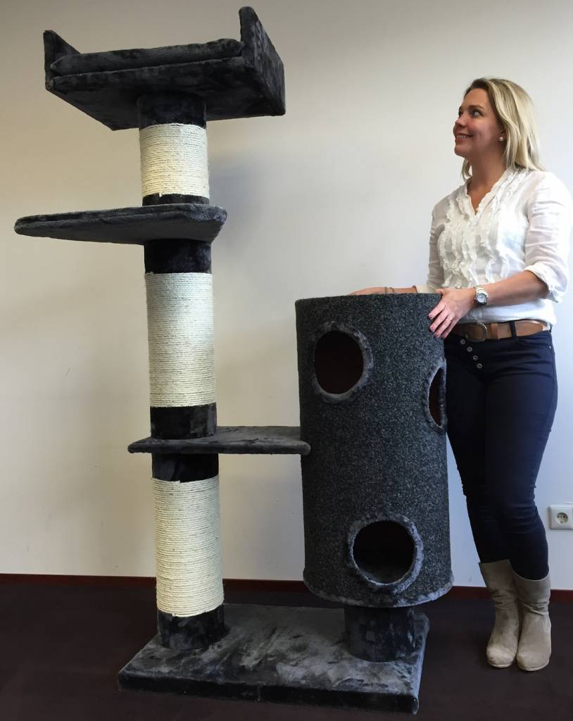 arbre a chat rhrquality